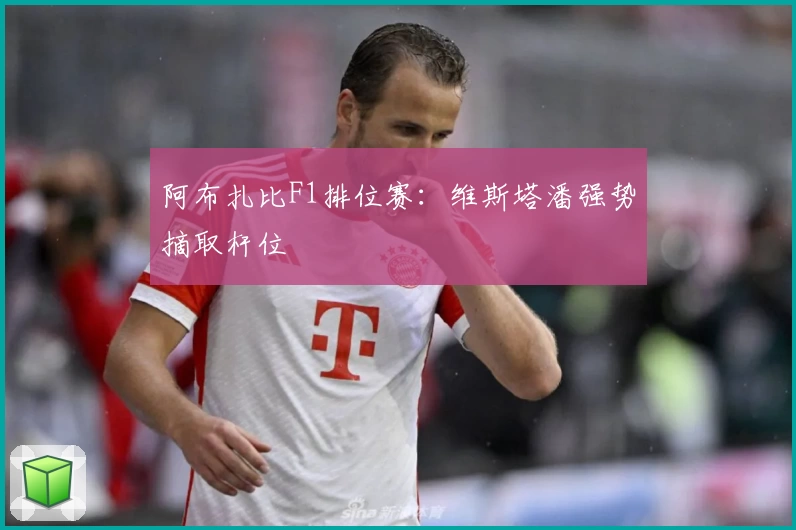 阿布扎比F1排位赛：维斯塔潘强势摘取杆位